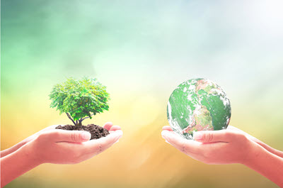 ISO Environmental Systems
